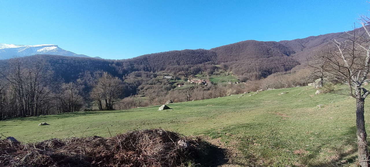 WhatsApp Image 2026-03-23 at 08.13.56 (1)